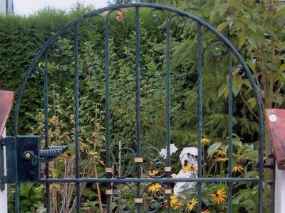 Türe ( Art. Nr. 10046 )