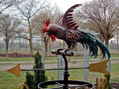 Kampfhahn ( Art. Nr. 3016 )