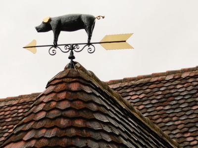 Schwein auf Dach ( Art. Nr. 3025 )