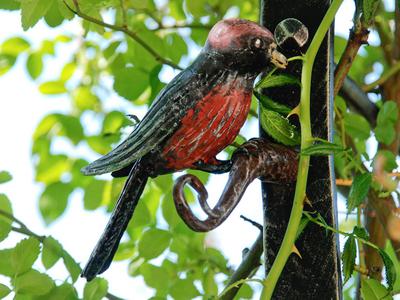 Papagei ( Art. Nr. 3032 )