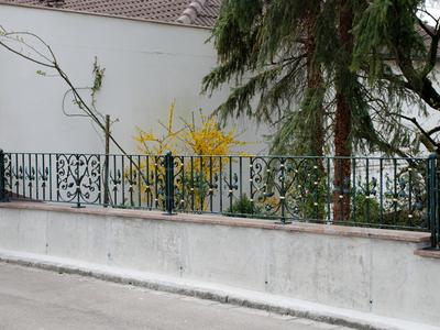 Zaun ( Art. Nr. 11030 )