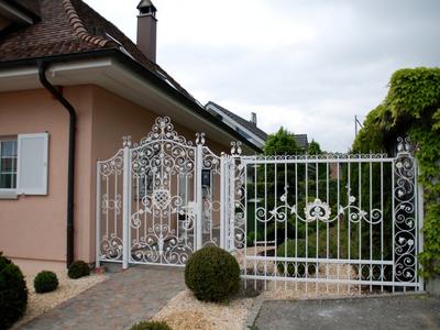 Türe ( Art. Nr. 10053 )