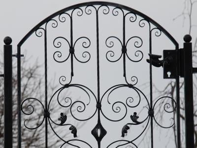 Türe ( Art. Nr. 10071 )