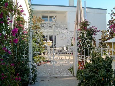 Türe ( Art. Nr. 10029 )